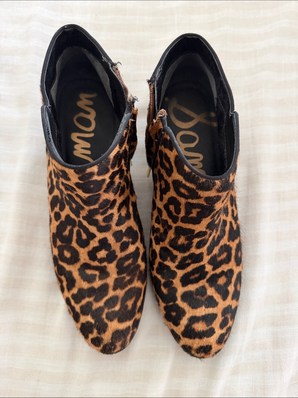 Sam Edelman Leopard Spot Ankle Booties - Brown/Black